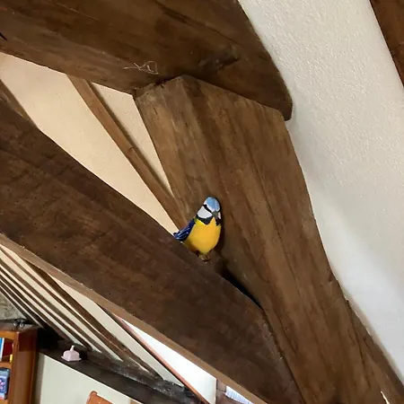 度假居 Les Hirondelles Chemiré-en-Charnie