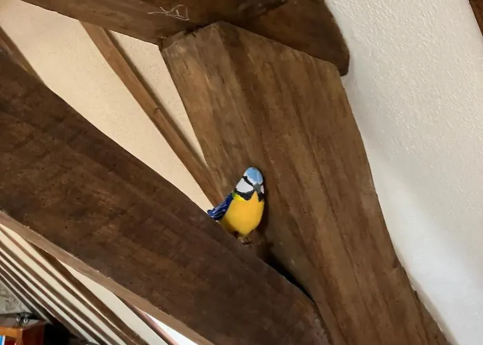 بيت للعطل Les Hirondelles Chemiré-en-Charnie