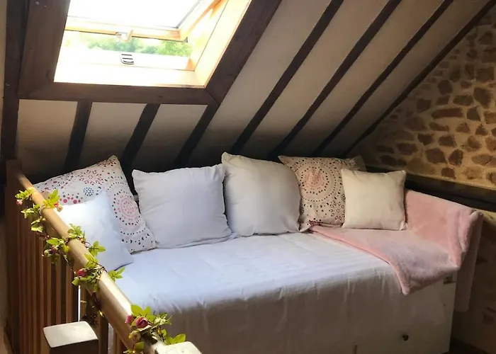 Les Hirondelles Chemiré-en-Charnie