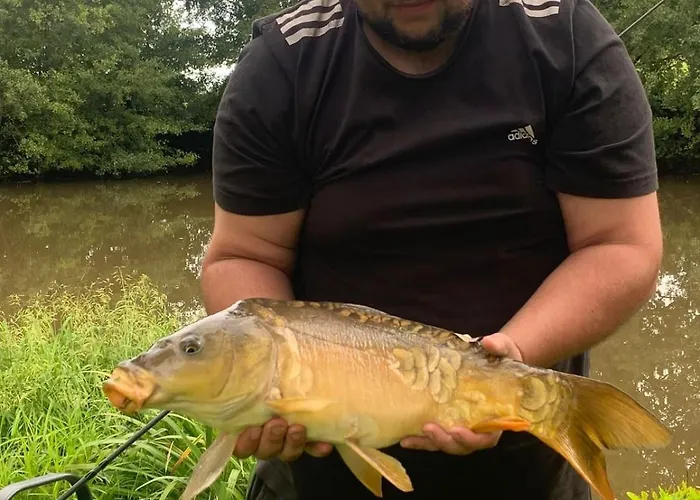 بيت للعطل Les Hirondelles